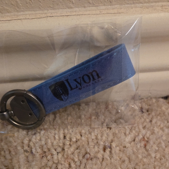 Blue Keychain Accessory - Picture 1 of 2